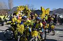 velo carnavalesque 1
